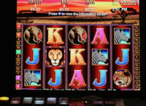 壹号app官网版最新版